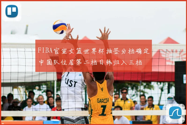 FIBA官宣女篮世界杯抽签分档确定中国队位居第二档日韩归入三档